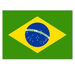 Drapeau 150 x 90 cm Brésil